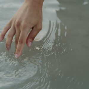 Agua y bacterias patógenas: el papel de la D-Manosa