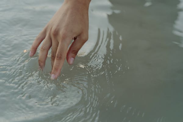 Agua y bacterias patógenas: el papel de la D-Manosa