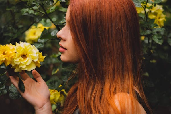 La Flora de Döderlein: un jardín para cultivar