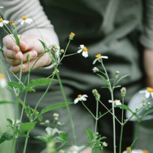 Ducha vaginal, una aliada de la flora